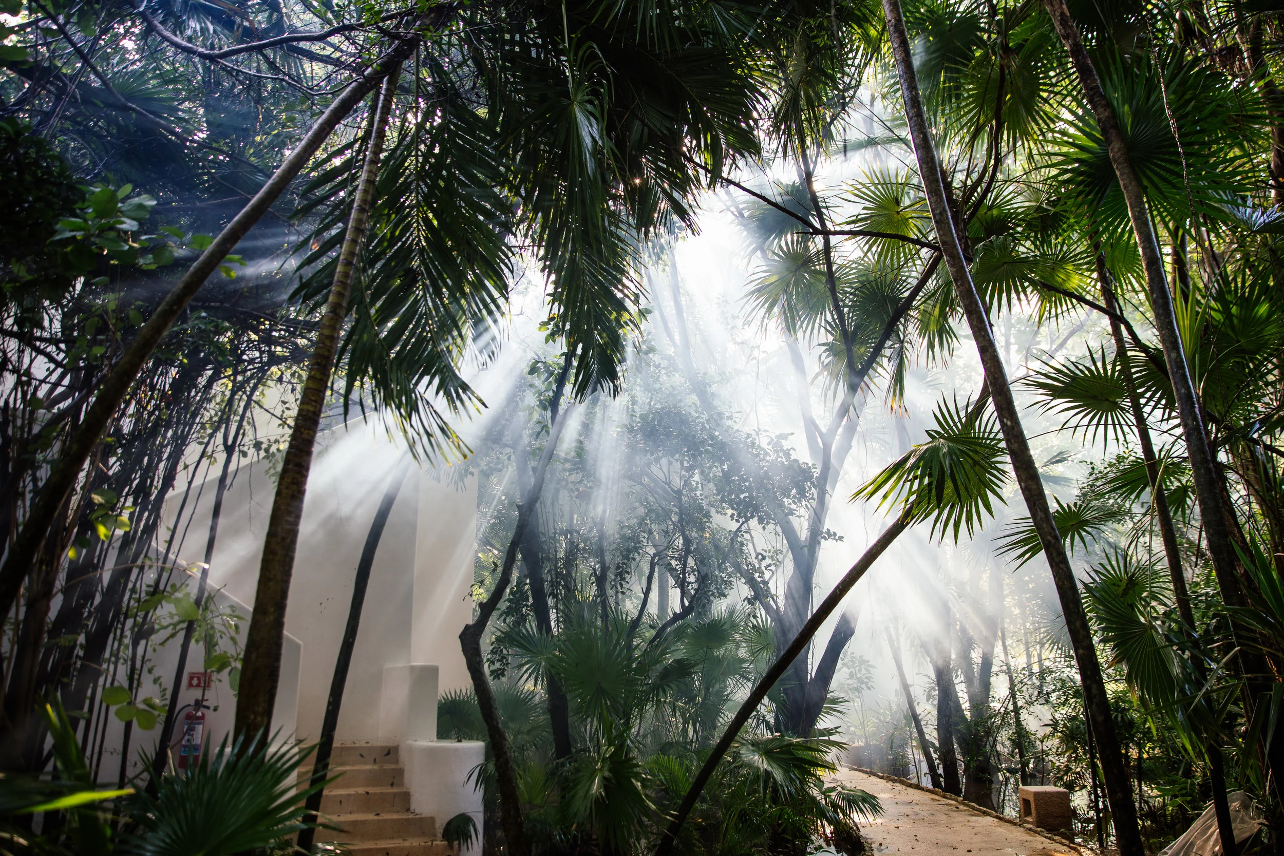 hotel-esencia-property-1681.jpg