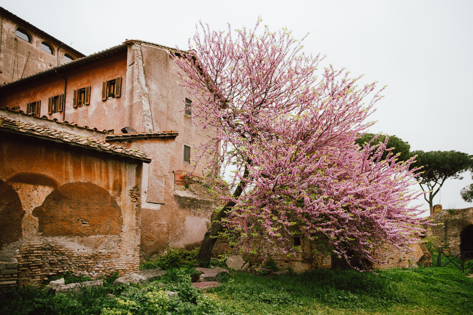 rome-italy-tanveer-badal-22.jpg