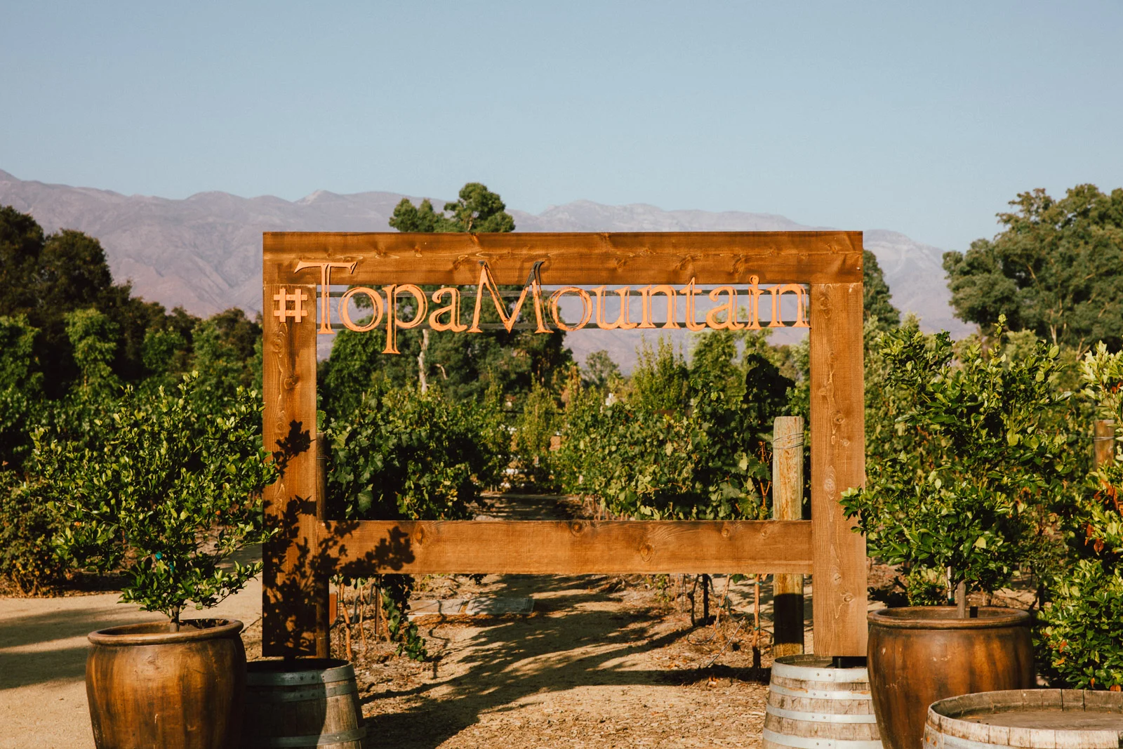 ojai-california-tanveer-badal-virgin-australia-voyeur-38.jpg