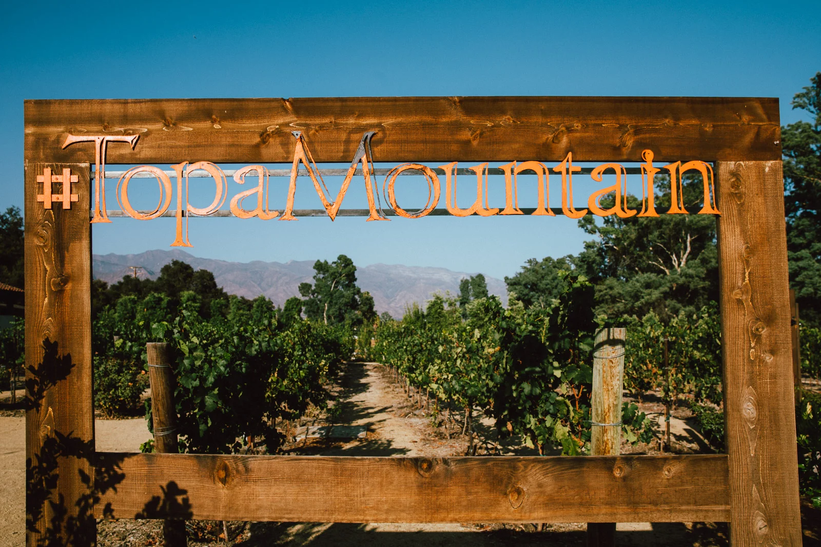 ojai-california-tanveer-badal-virgin-australia-voyeur-42.jpg