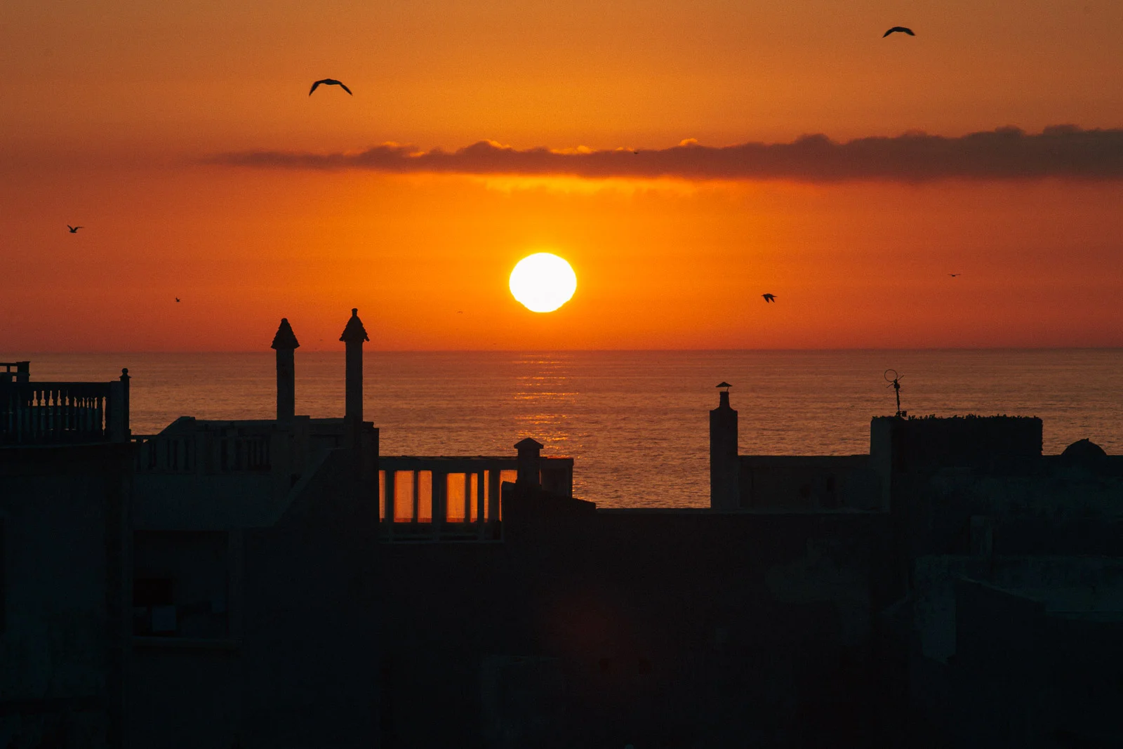 essaouira-casablanca-morocco-tanveer-badal-39.jpg