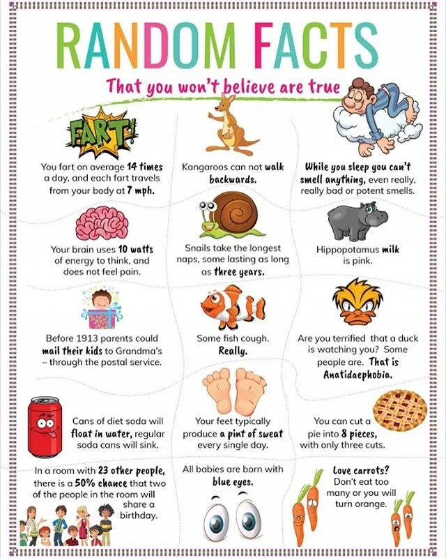 Happy Sunday! Here are some fun facts to make your day a bit brighter!

#education #k12ed #stem #intelligence #character #socialskills #development #growth #personality #school #publicschool #privateschool #prek #prekindergarten #knowledge #knowledge