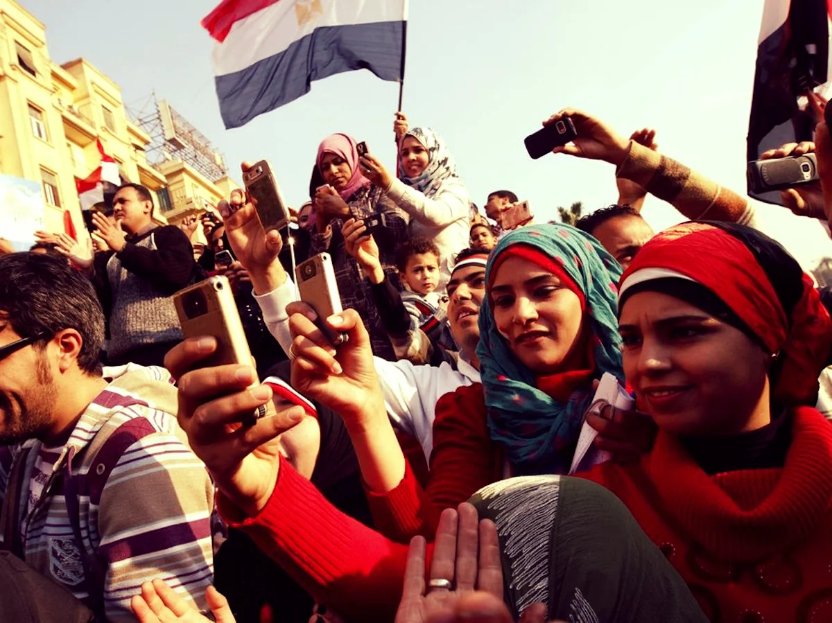 Herrera, L. (2012). Youth and citizenship in the digital age : A view from Egypt. In Harvard Educational Review , 82 (3), 333-353.