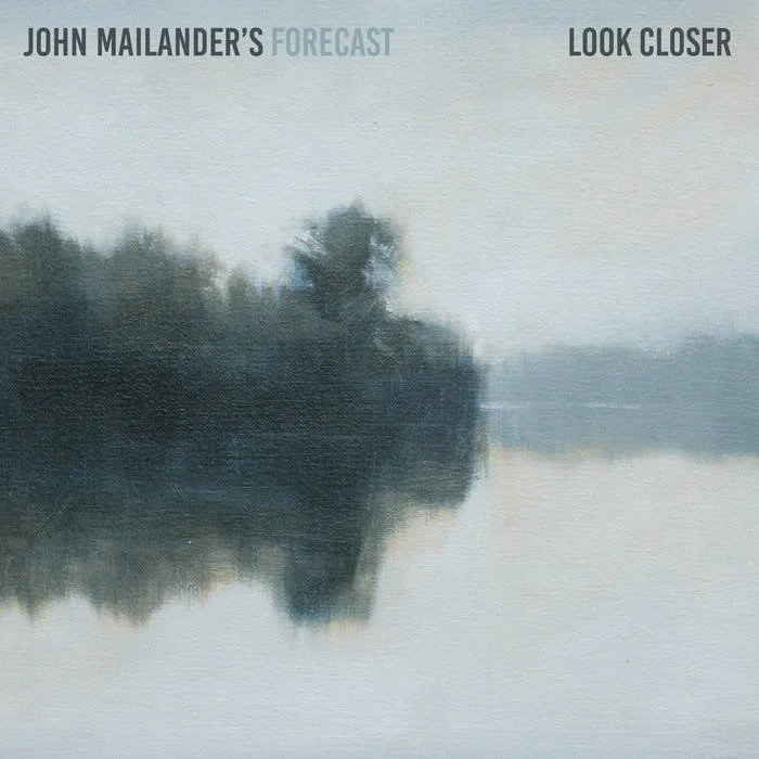 Look Closer (2021) - 140g Vinyl LP