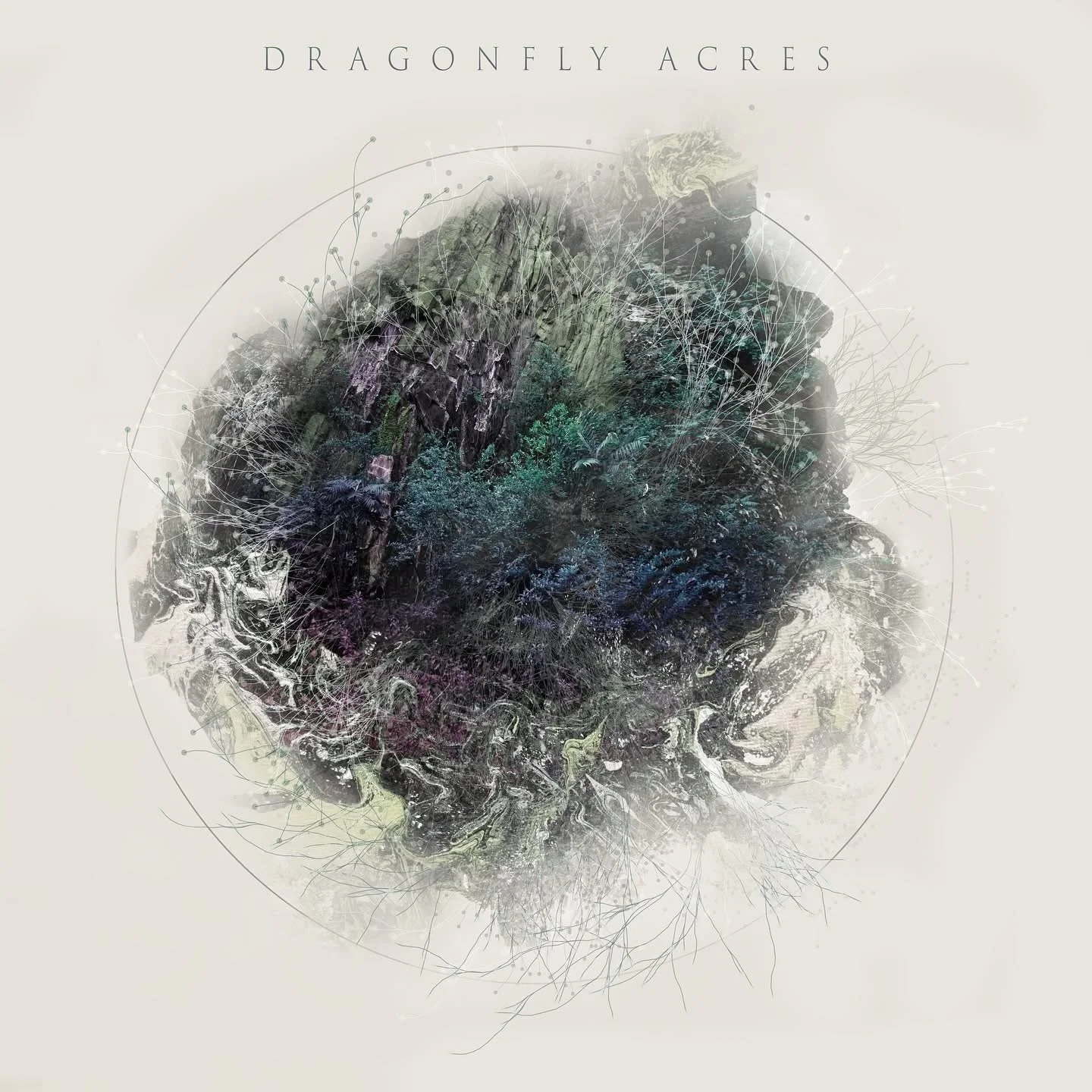 Ben Garnett (ft. John Mailander's Forecast), Dragonfly Acres, 2024
