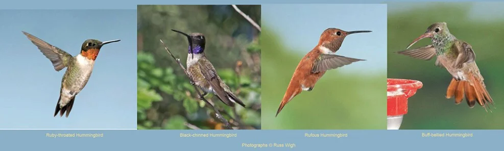 Photos by Russ Wigh