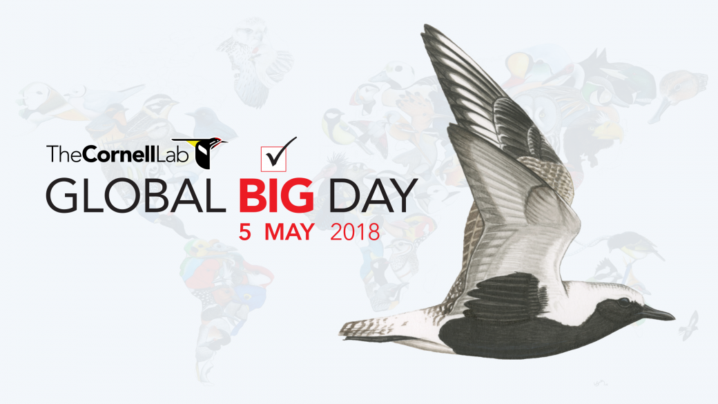 Global Big Day