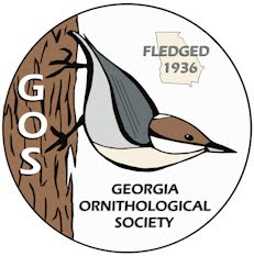 Georgia Ornithological Society Fall Meeting 2021