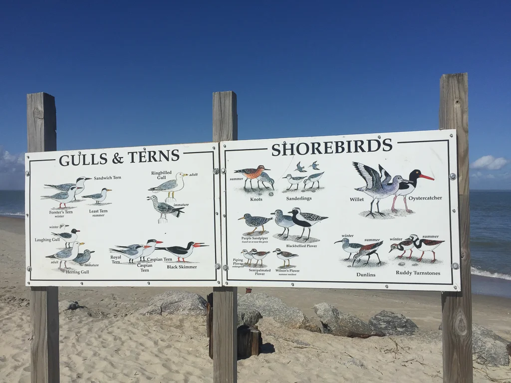 Tybee Island North Beach