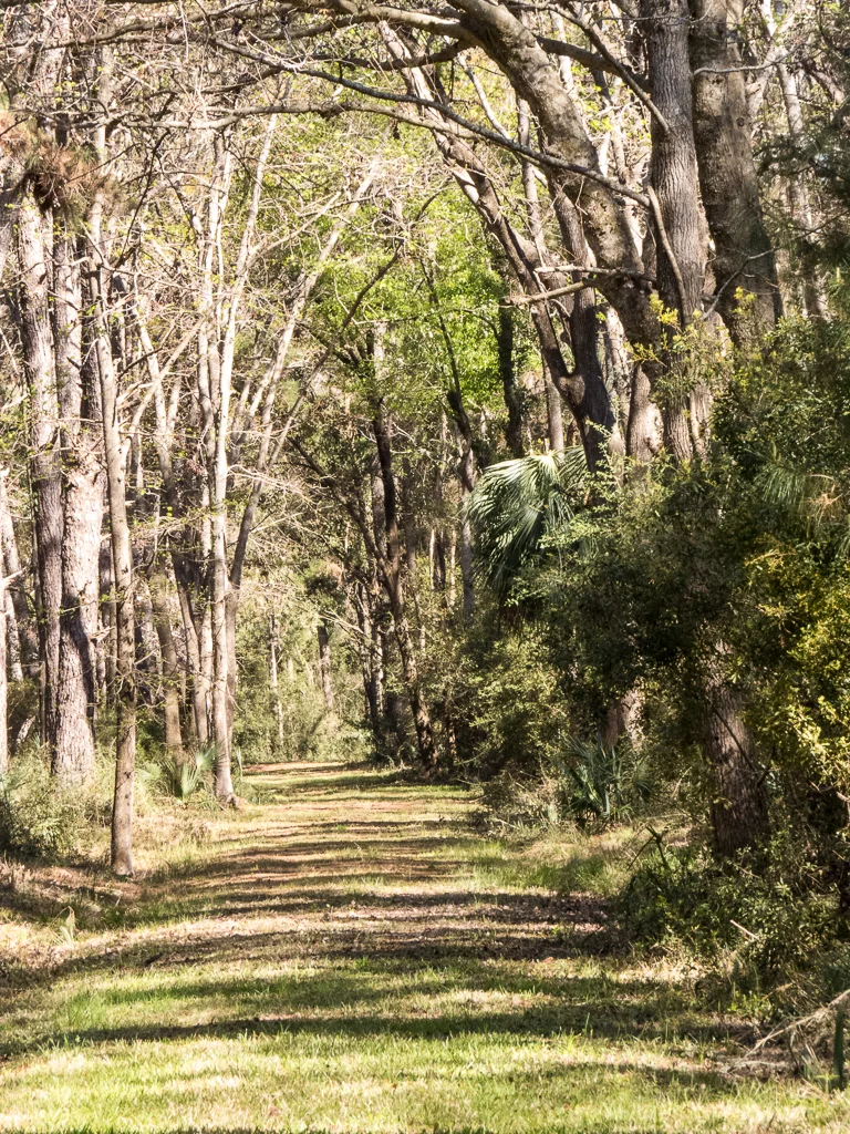 Savannah NWR - Solomon Tract