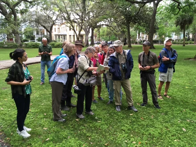 Migratory Bird Walks with Diana Churchill in Forsyth Park 5/3