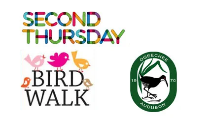 Second Thursday Bird Walk - Whitmarsh Island Preserve