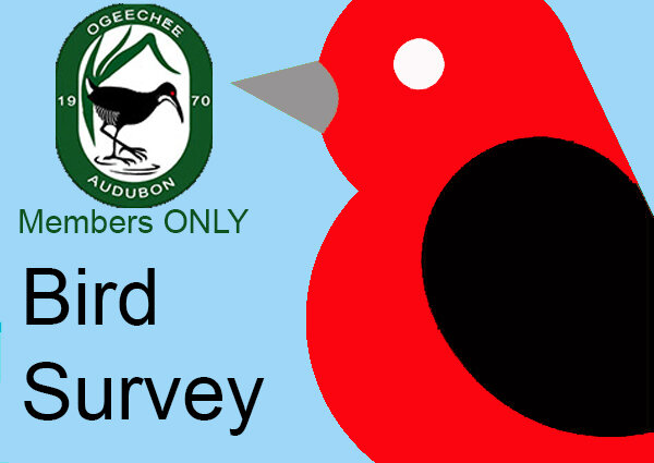Savannah Christian Preparatory School  Property Survey