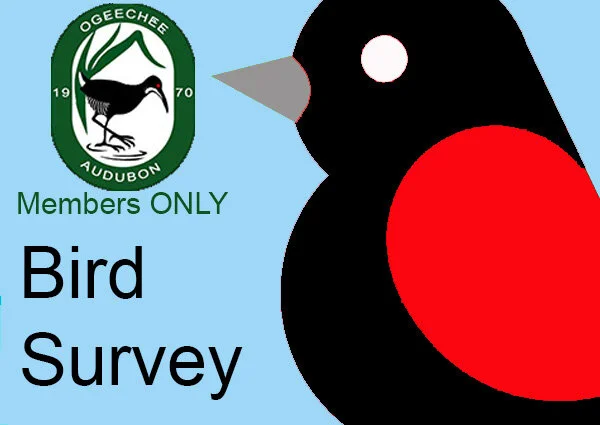 Rusty Blackbirds Survey - Savannah Christian Preparatory School
