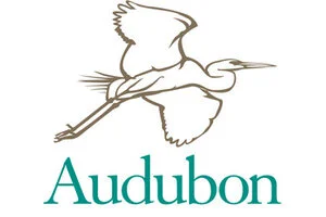 Audubon Statement on Incident in Central Park’s Ramble