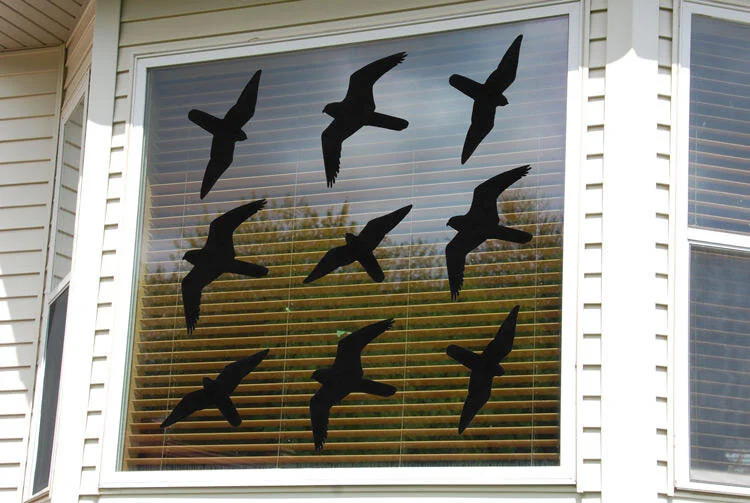 OAS Public Meeting:  Adam Betuel - How to avoid bird collisions 