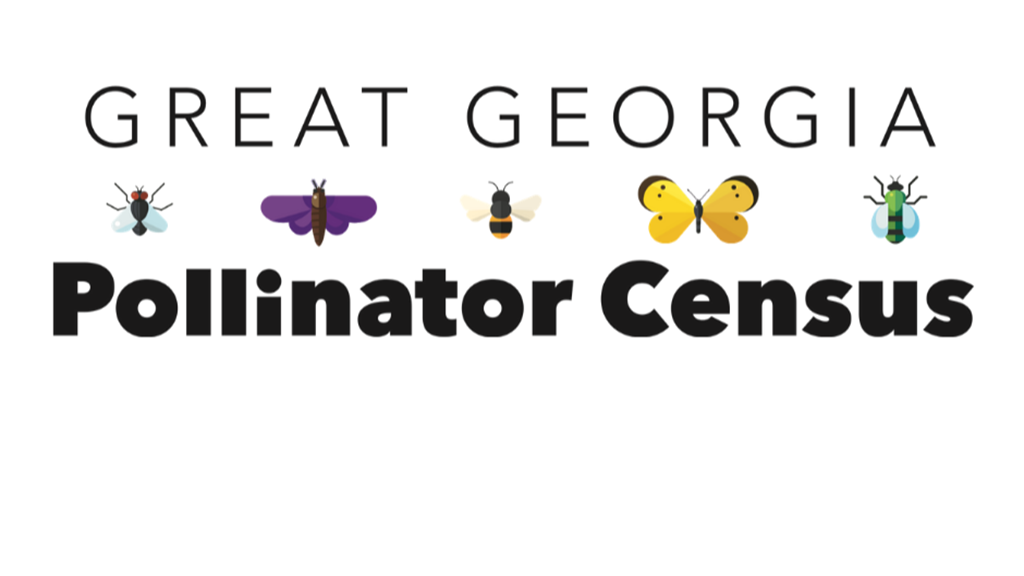 The Great Georgia Pollinator Census 2022