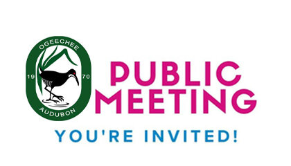 Conservation of the Henslow's Sparrow in Georgia