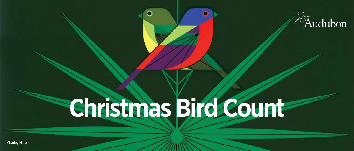 Savannah OAS Christmas Bird Count 2021-22