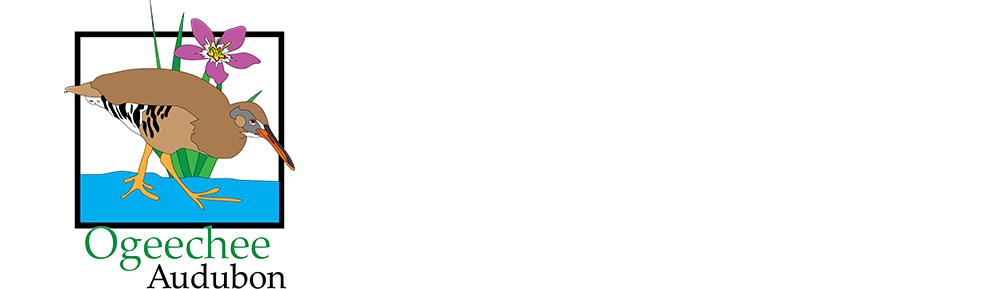 Ogeechee Audubon Society