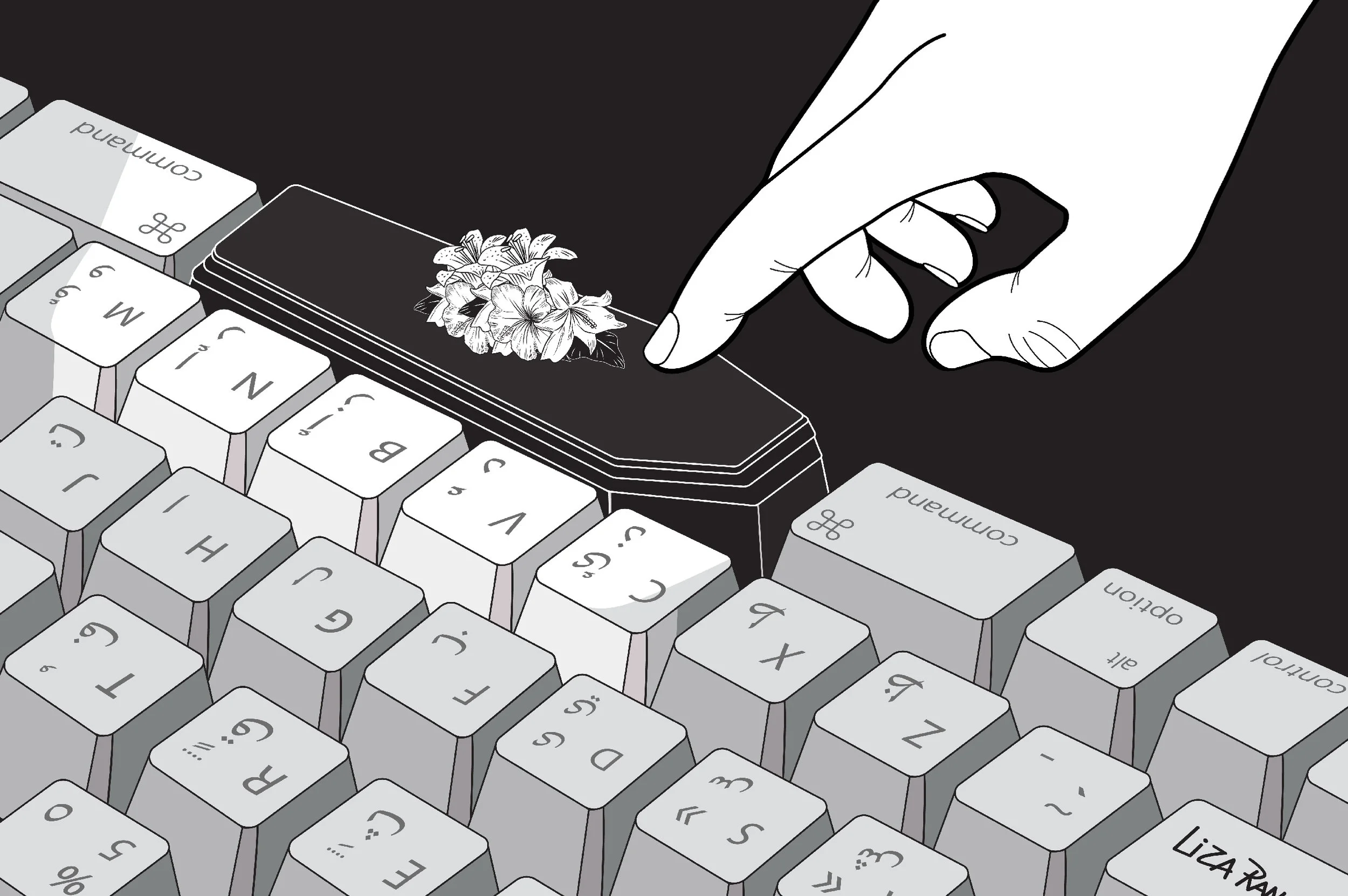  The article was one of the first Arabic articles to be translated to many languages across the different VICE country specific websites including (US, UK, Sweden, Germany etc.) 