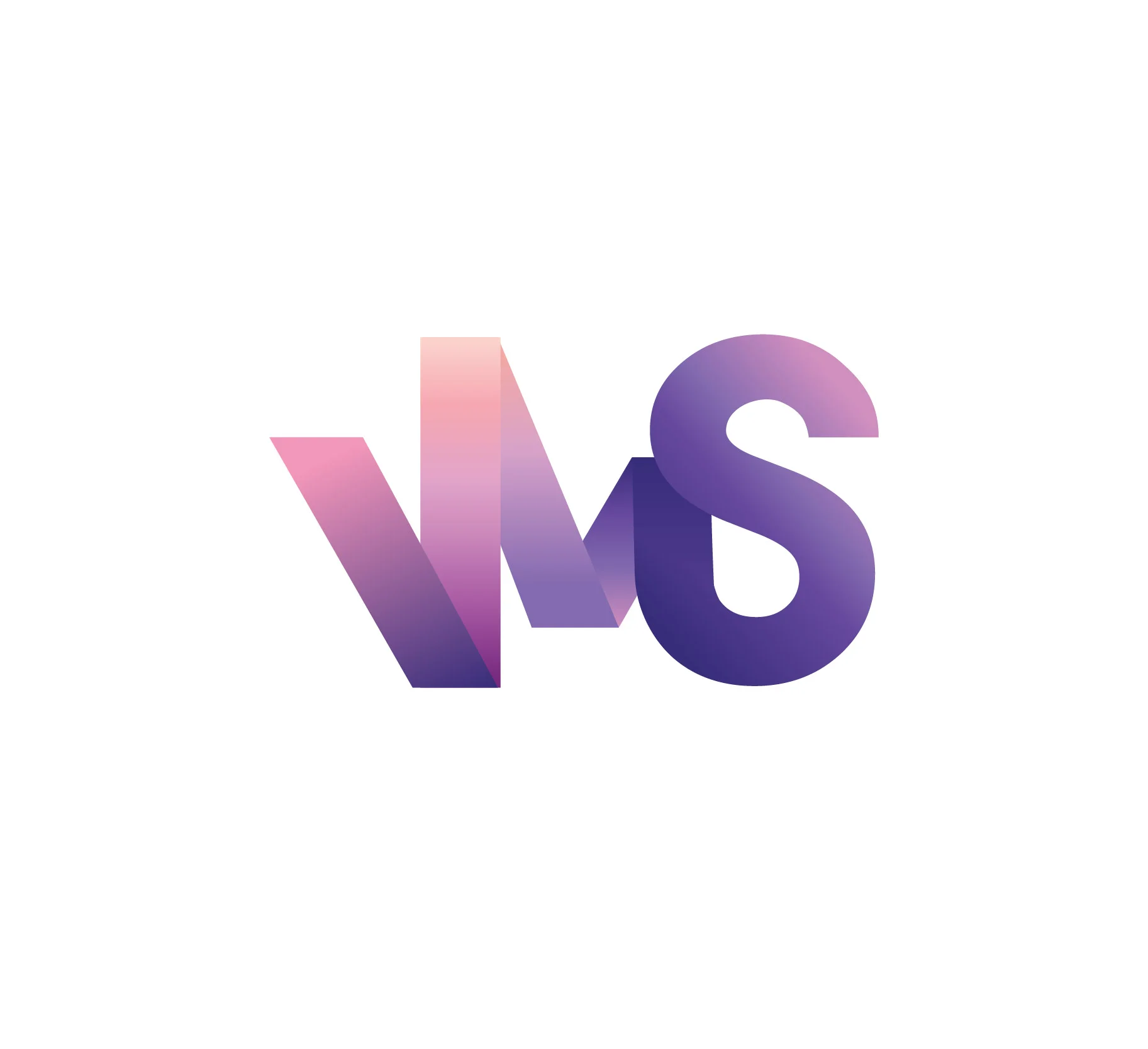 Branding for marketing company VMS.