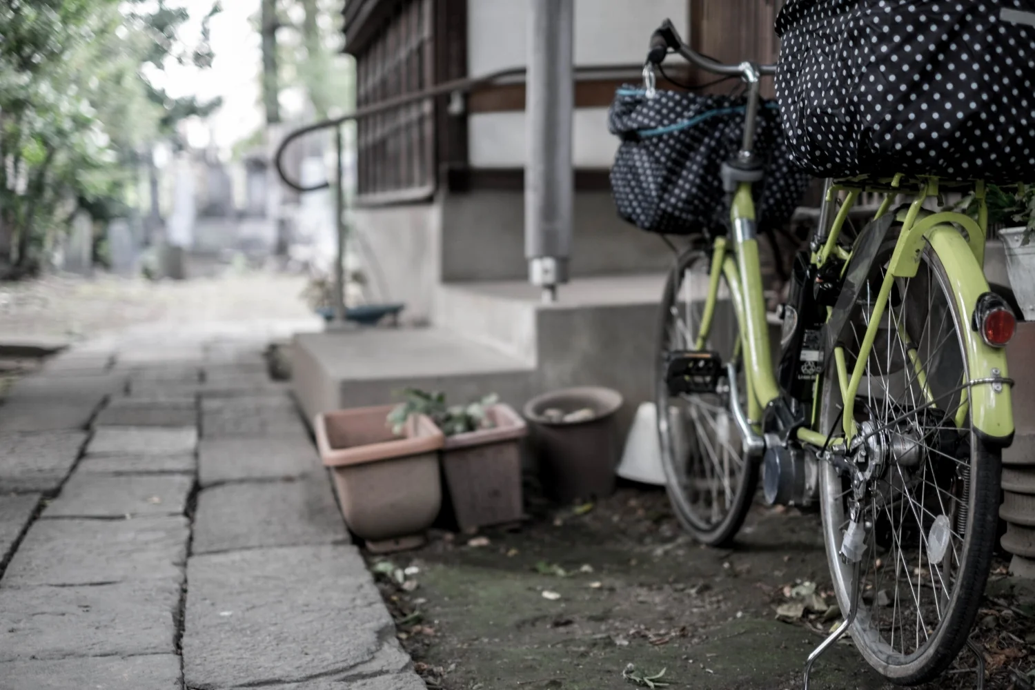bicycle1 (1 of 1).jpg