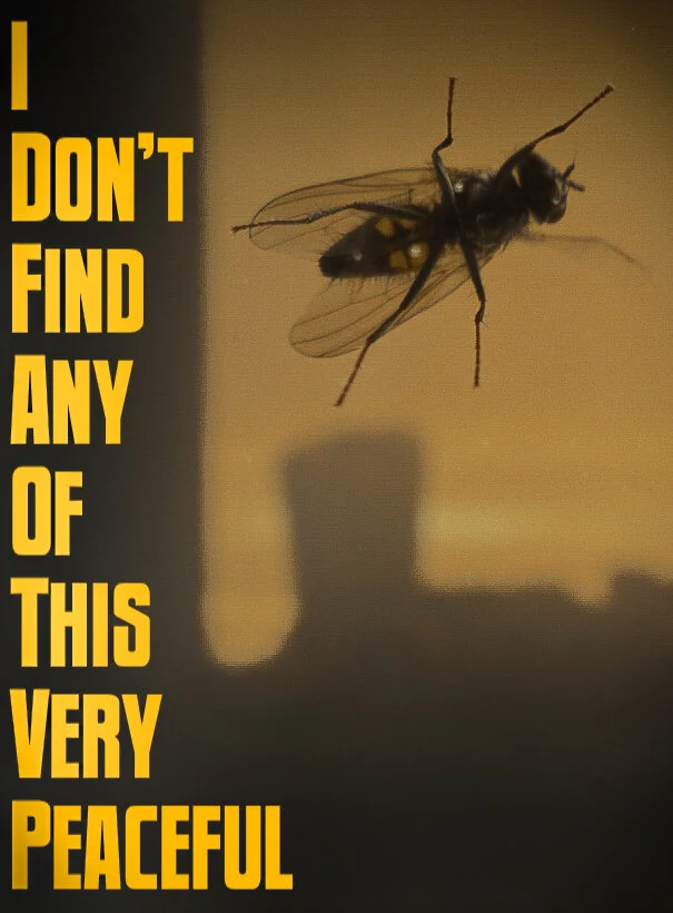 IDFAOTVP Stills_2.7.1-2-2.jpg