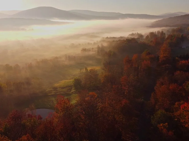 Things to Do in the Catskills: A Local’s Guide
