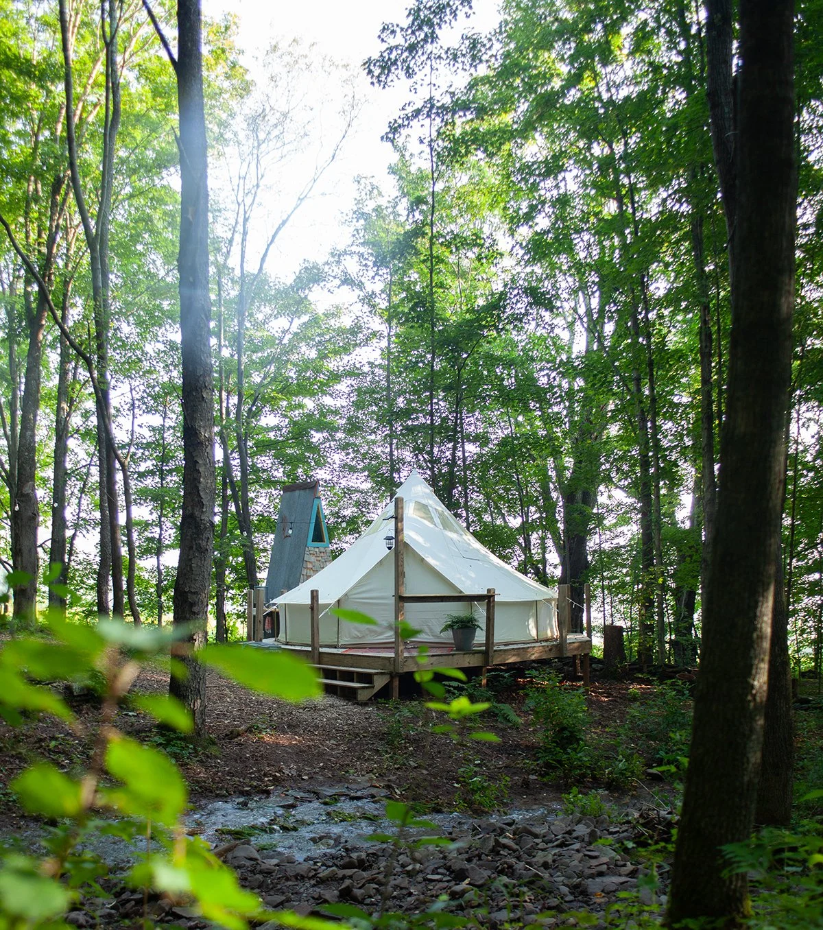 forest-belle-glamping.jpg