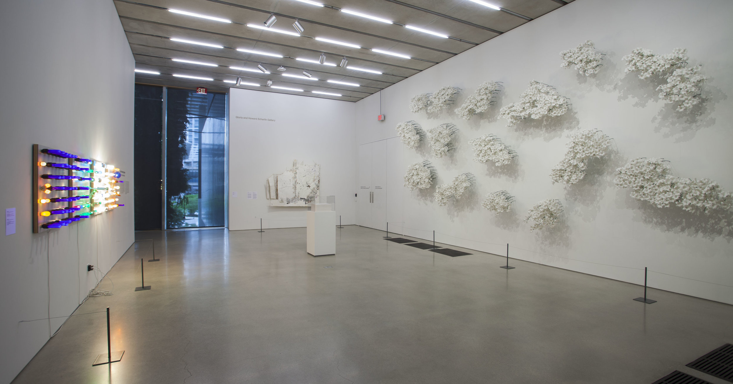 PAMM_GPS_MG_5791.jpg