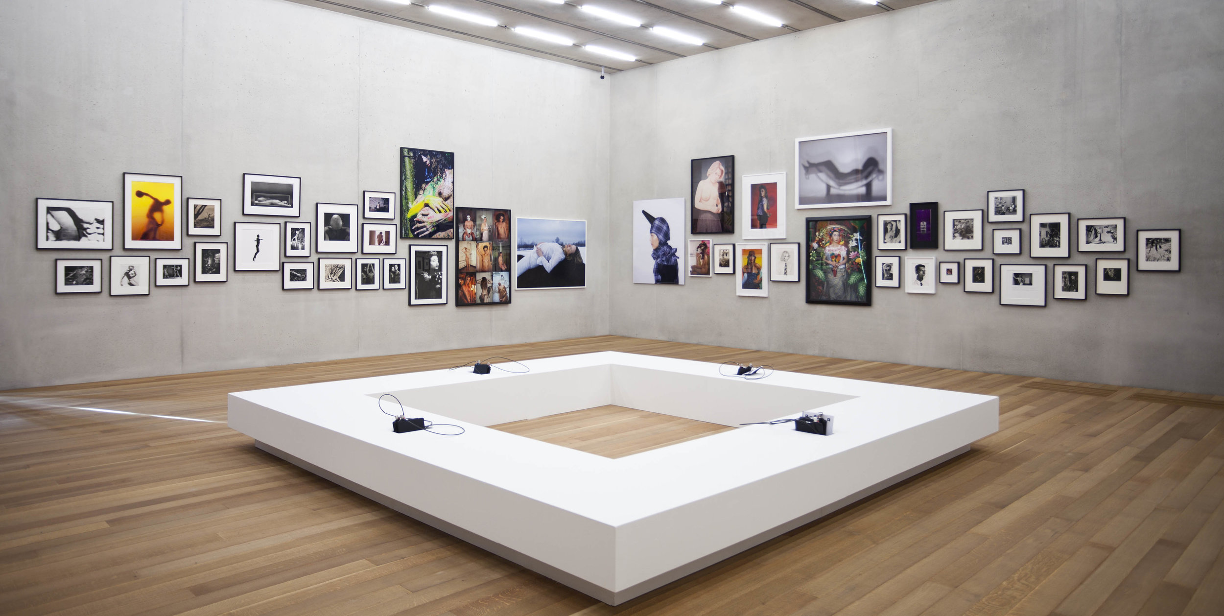 PAMM_Image_Search_MG_2578.jpg