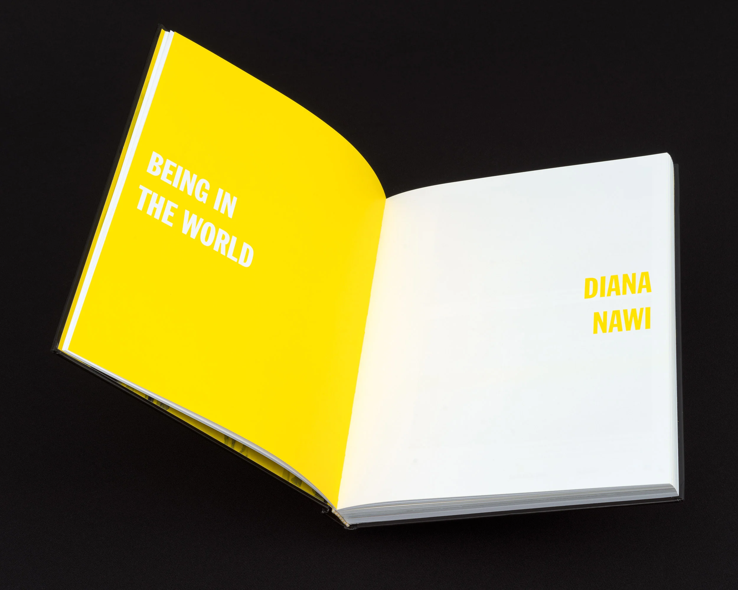 04-nw-diana-nawi.jpg