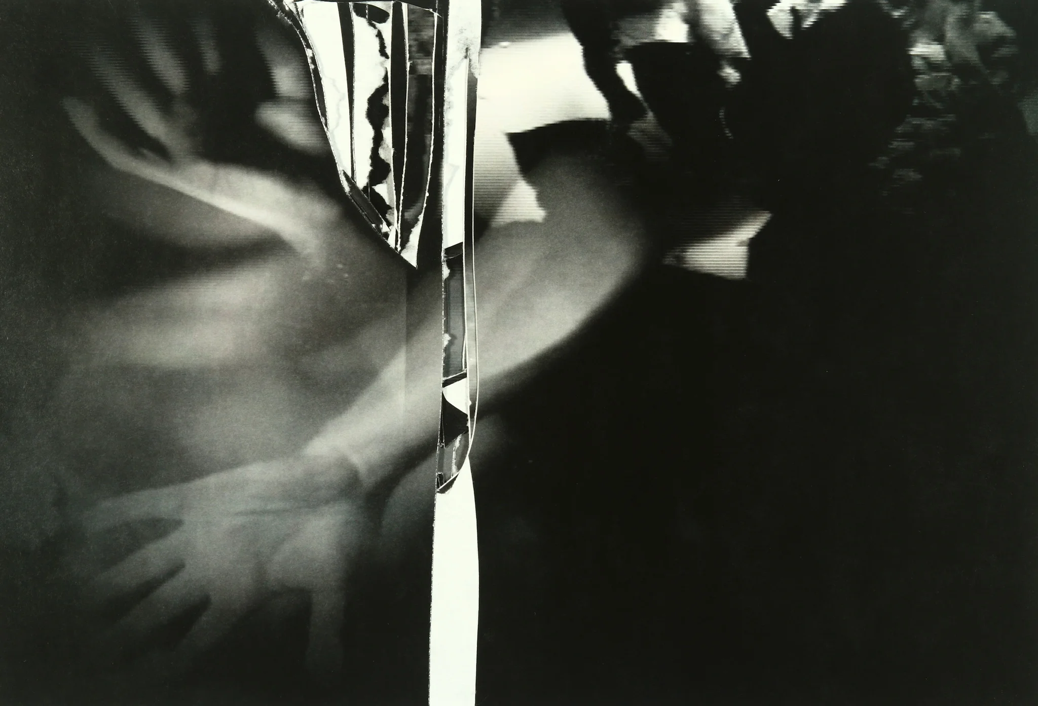perez_art_museum_miami_moira_holohan_copied_ii_new_work_miami_2013.jpg