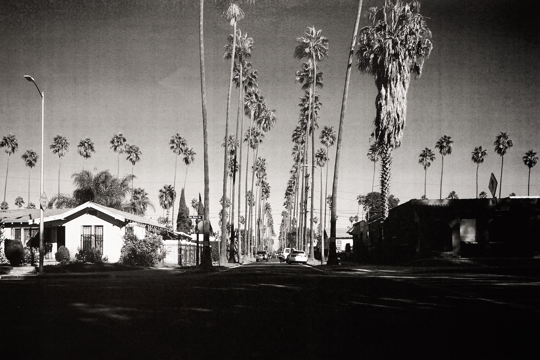 Guerrier_Untitled_57 Palms Van Ness.jpg
