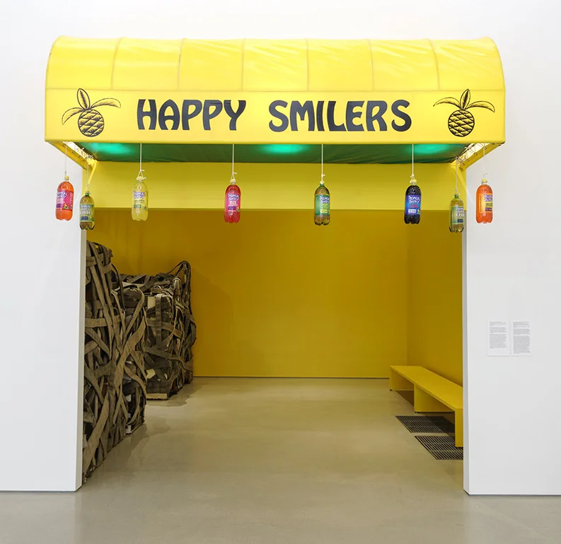 PAMM-NARI-WARD-STUDIO-LHOOQ-800PX-JPEGs-13 copy.jpg