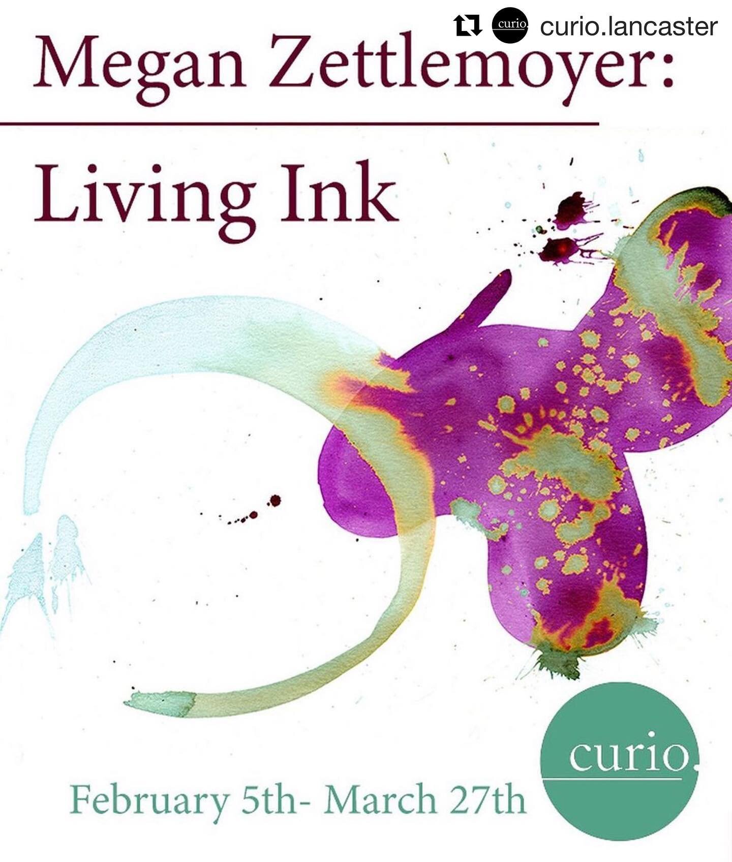 I'm having a show of my ink paintings @curio.lancaster  Youll be able to check everything out in person or through their virtual gallery online.  #Repost @curio.lancaster with @get_repost
・・・
Coming to the gallery in February, Megan Zettemoyer: Livin