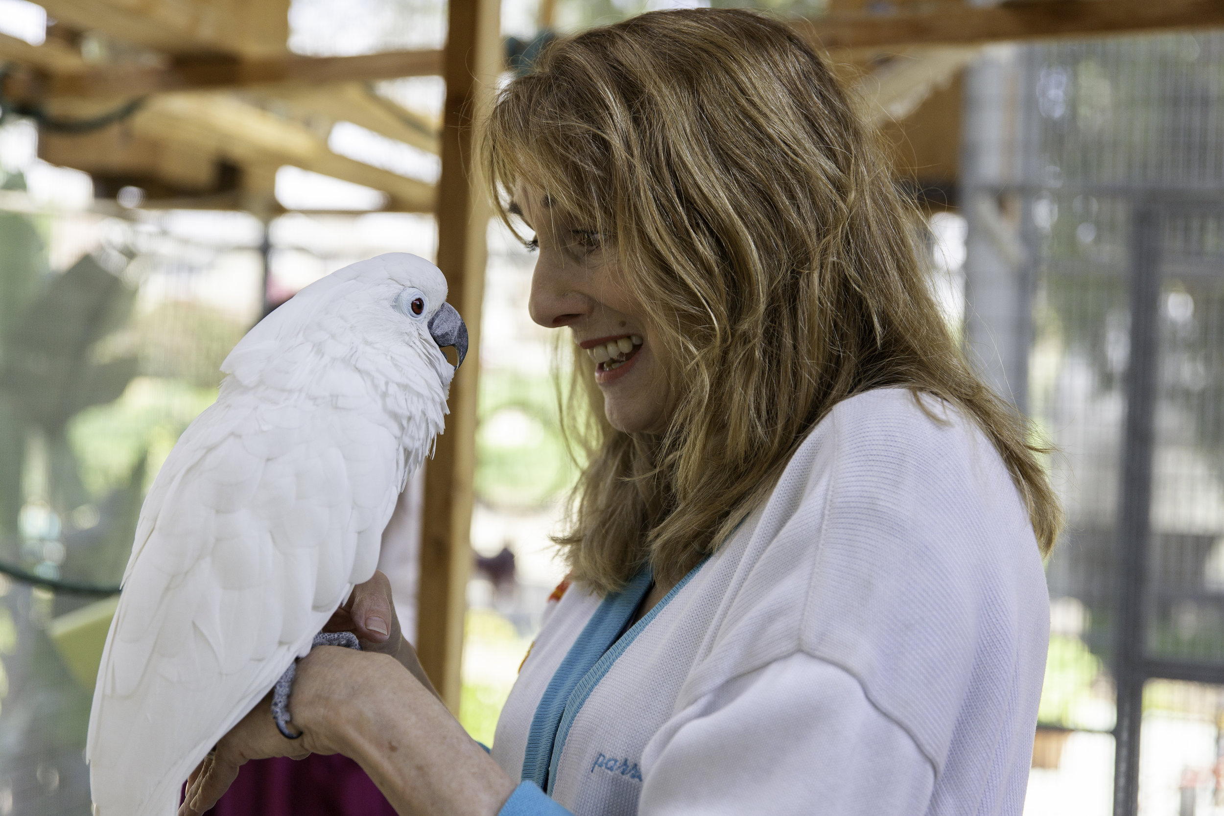  Learn how the stars of Animal Planet's Wolves and Warriors started their sanctuary in Dr. Lorin Lindner's book  Birds of a Feather .   Read the book  