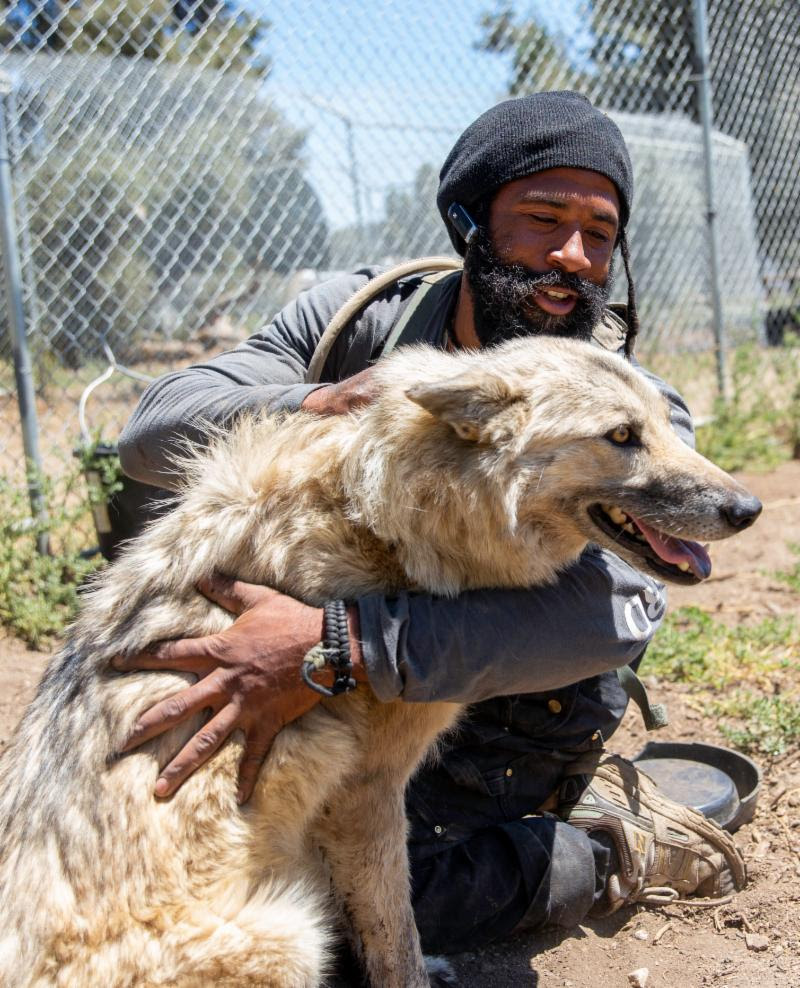 LARC comes to Animal Planet — Lockwood Animal Rescue Center LARC comes to Animal Planet — Lockwood Animal Rescue Center