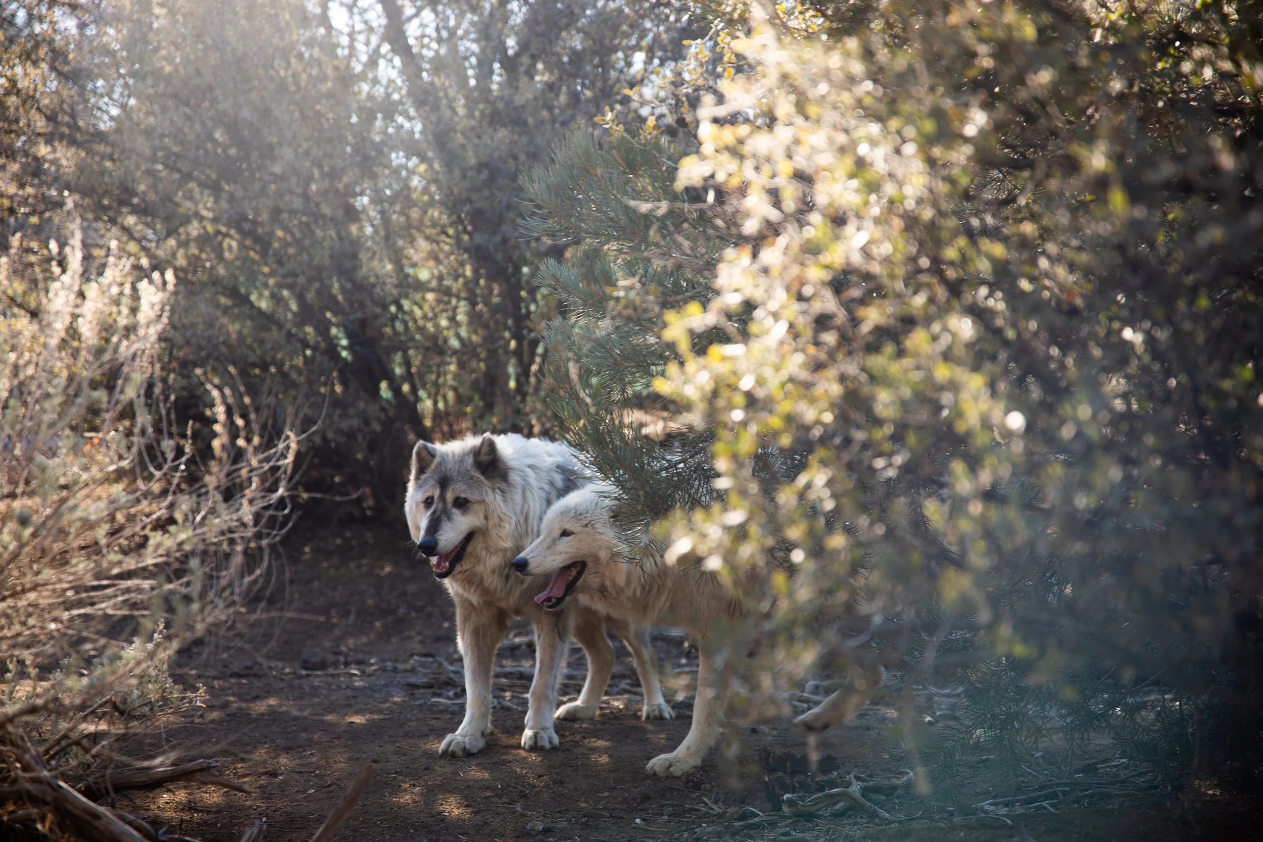 june2019newsletter-6.jpg