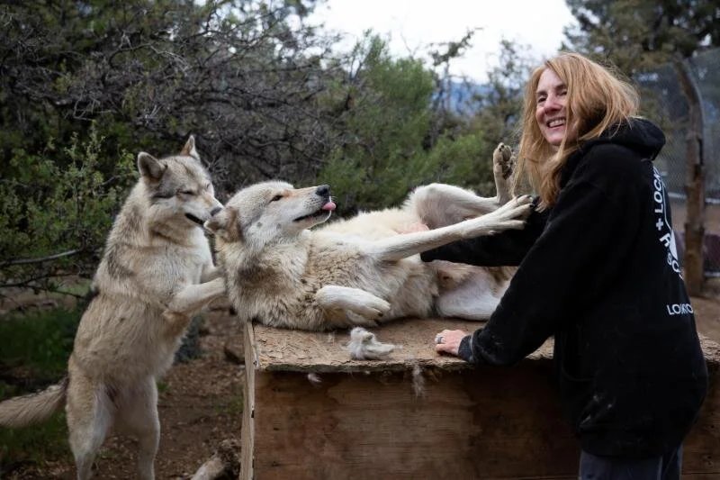 Pictured above: Twiggy and Big Boy, rescued from Fur Ever Wild, with Dr. Lindner
