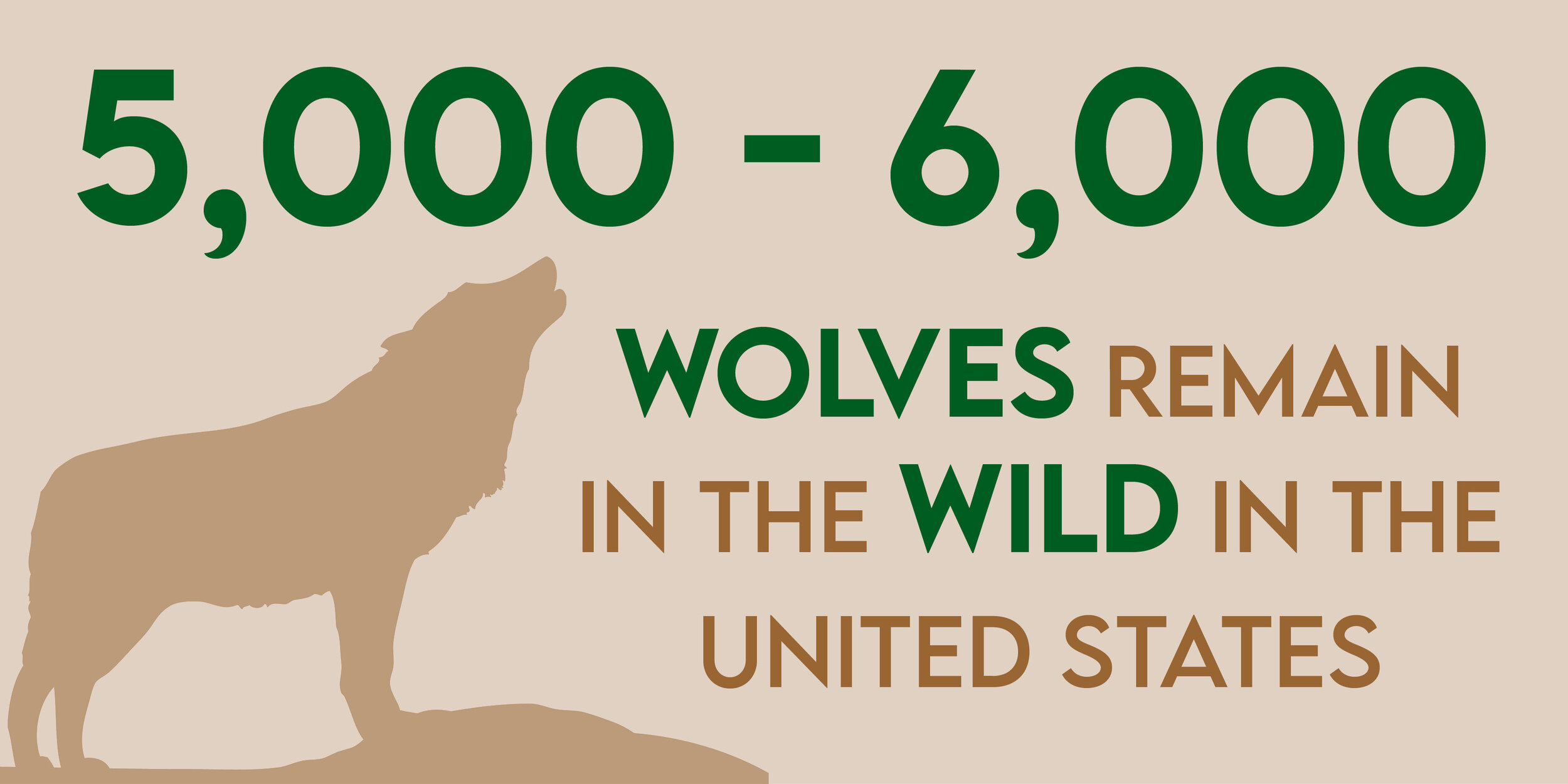 Wolves — Lockwood Animal Rescue Center