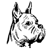 BOXER.gif