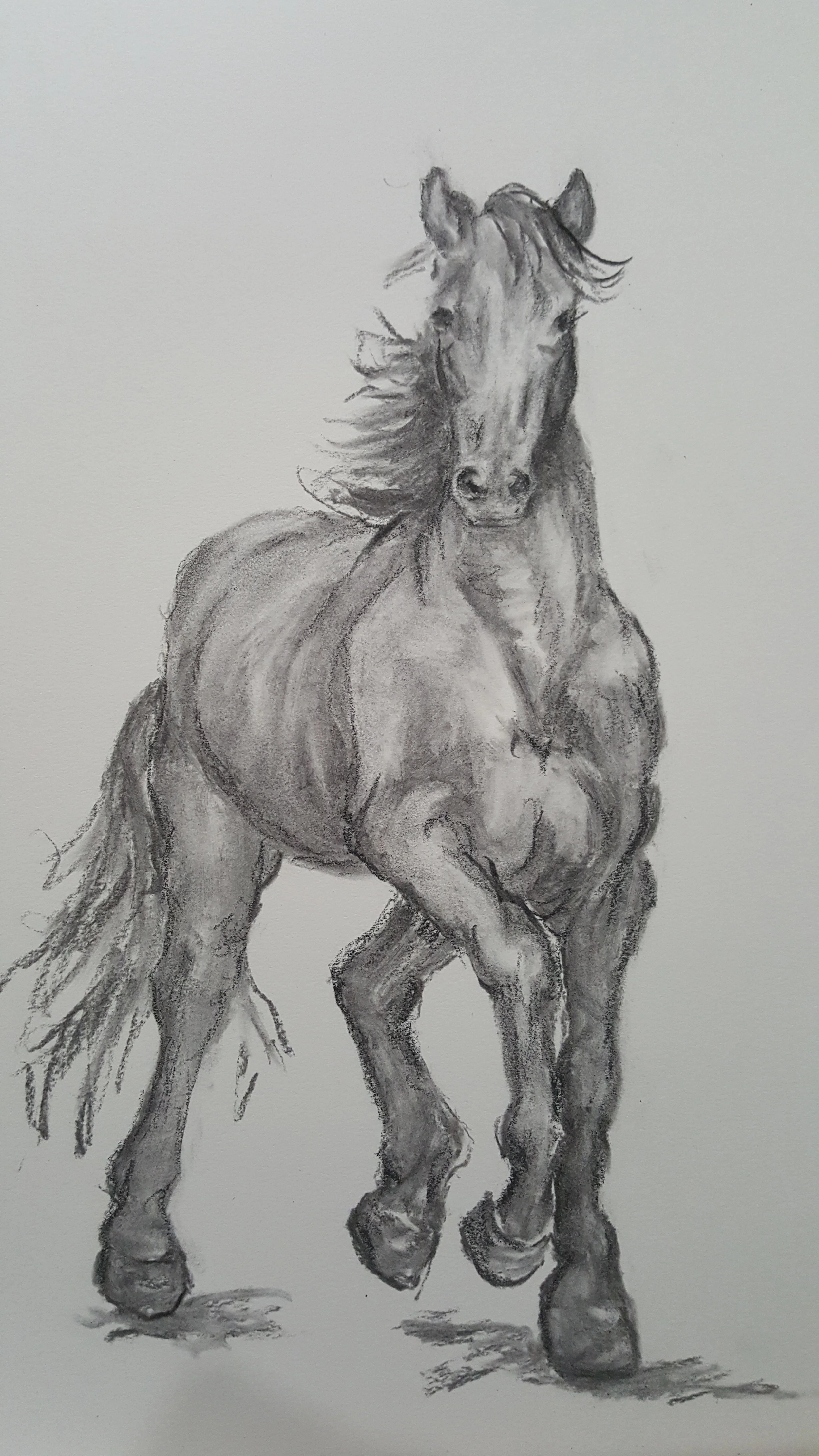 Elegant-Charcoal on Rag 9" x 12"