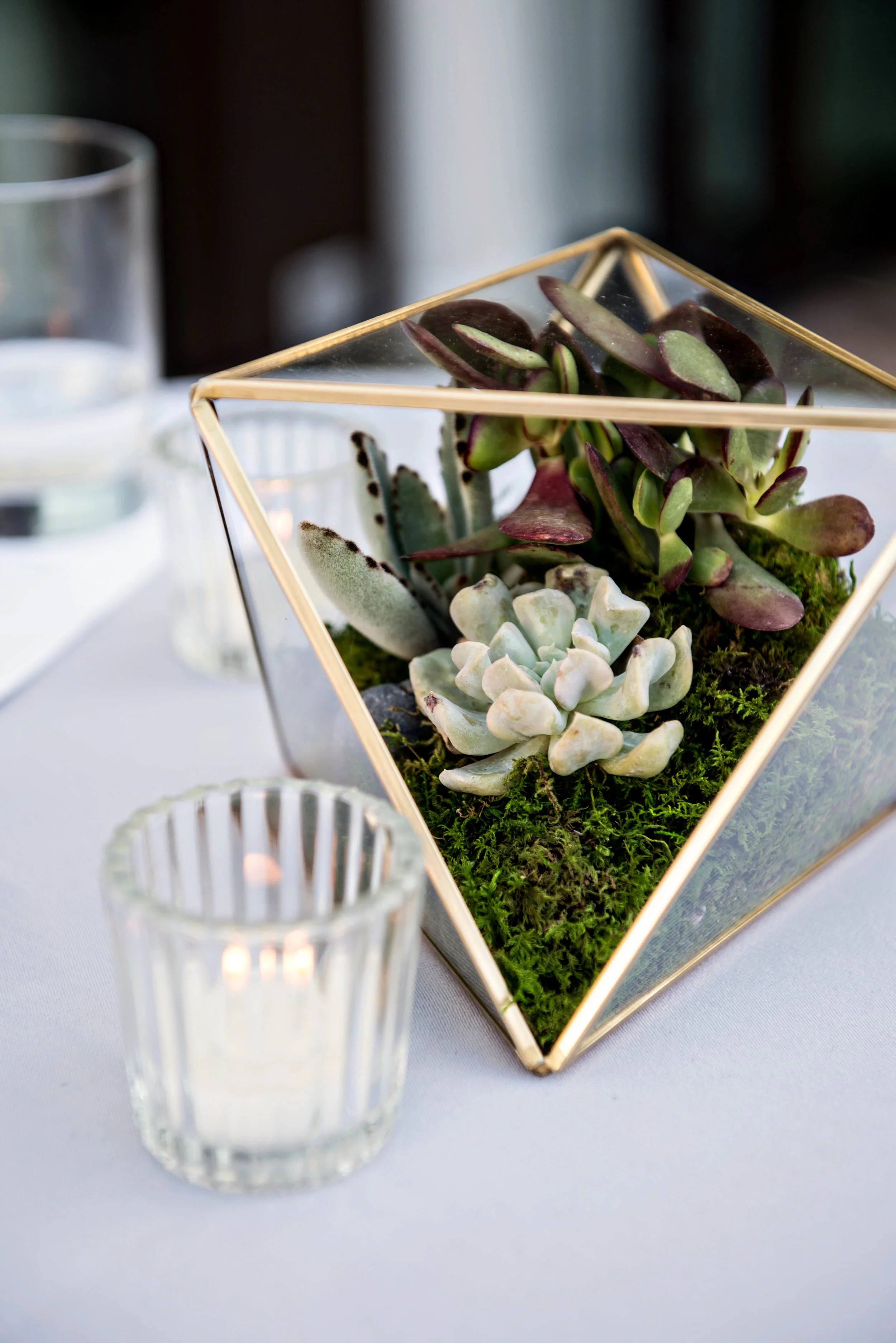 lauriebaileyphoto  1152.JPG