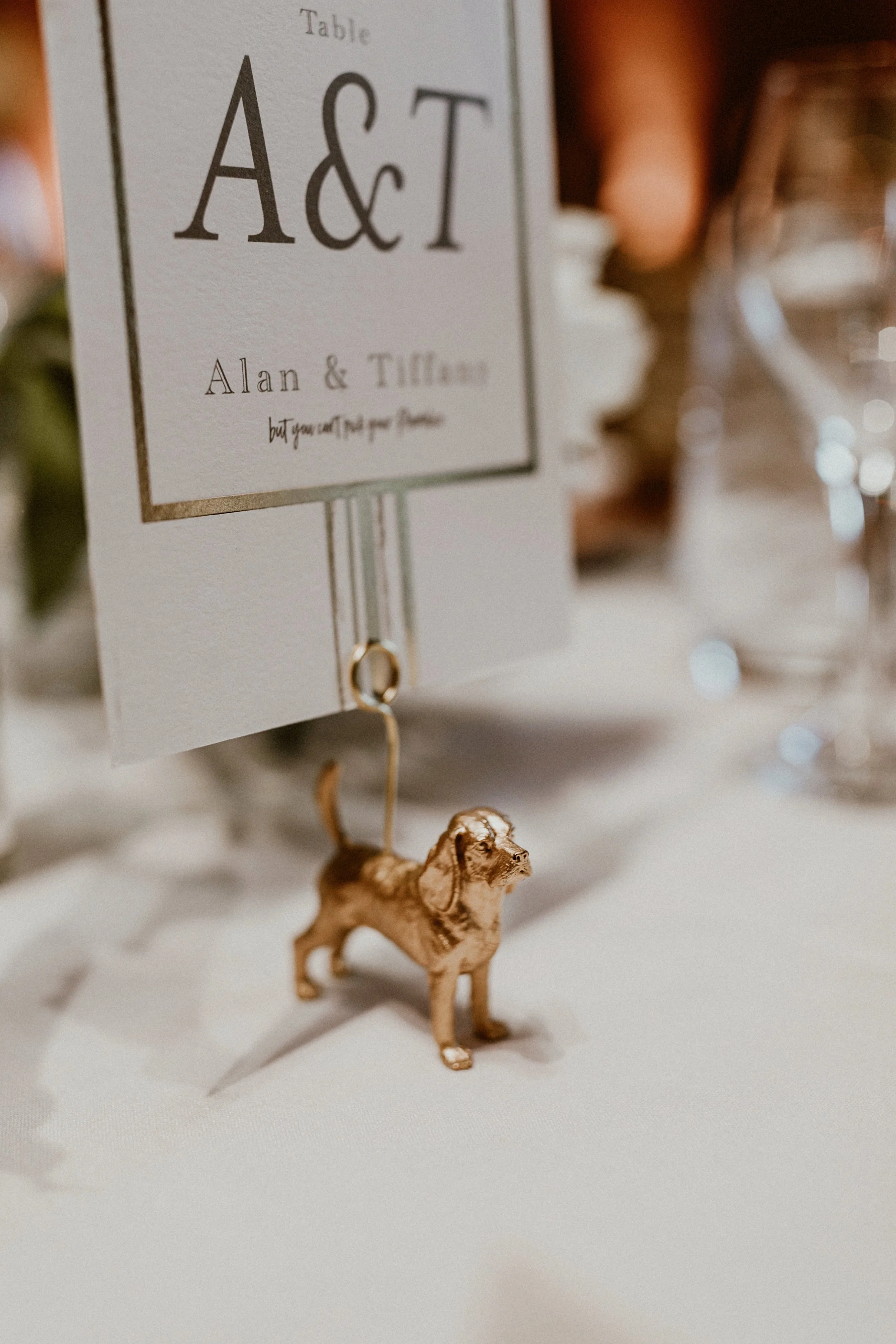 tiffany x alan - 483.jpg