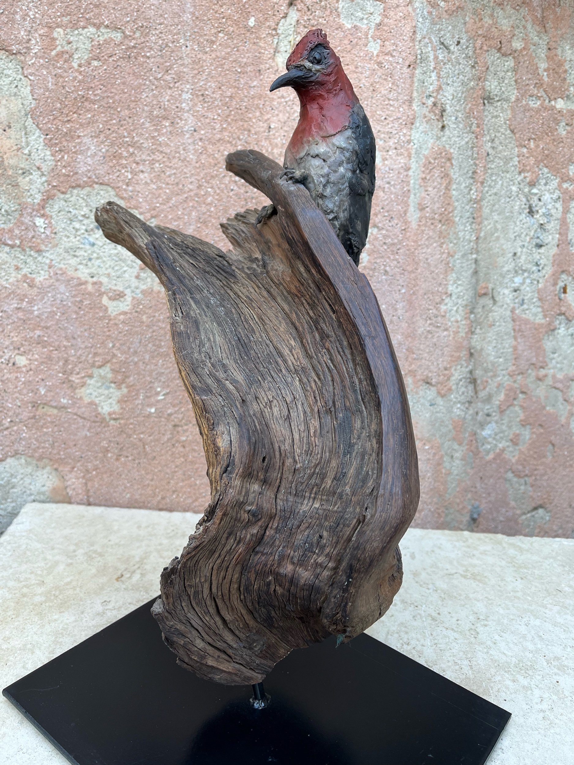  Bronze fine art woodpecker on a decorative piece of wood 