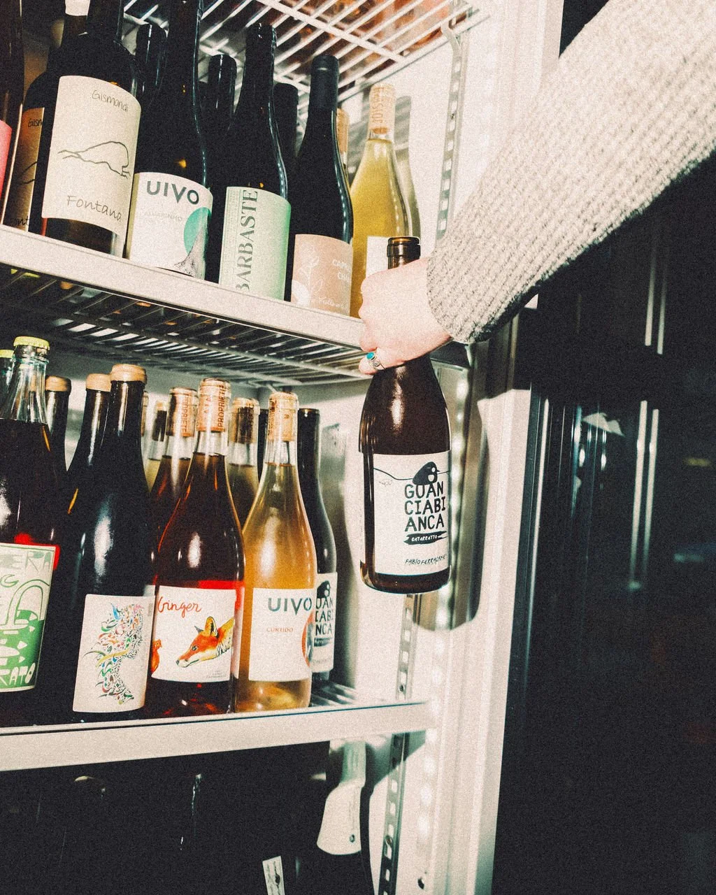 A person in a beige sweater reaching to grab a bottle labeled 'GUAN CIABI ANCA' from a refrigerated shelf with various beer and wine bottles.