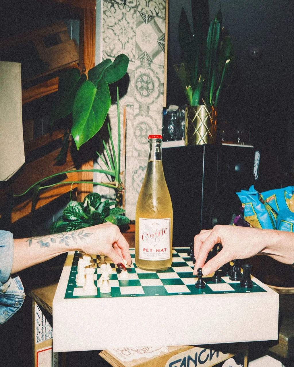 Two people playing chess on a small table with a bottle of white wine between them, in a cozy, plant-decorated room.