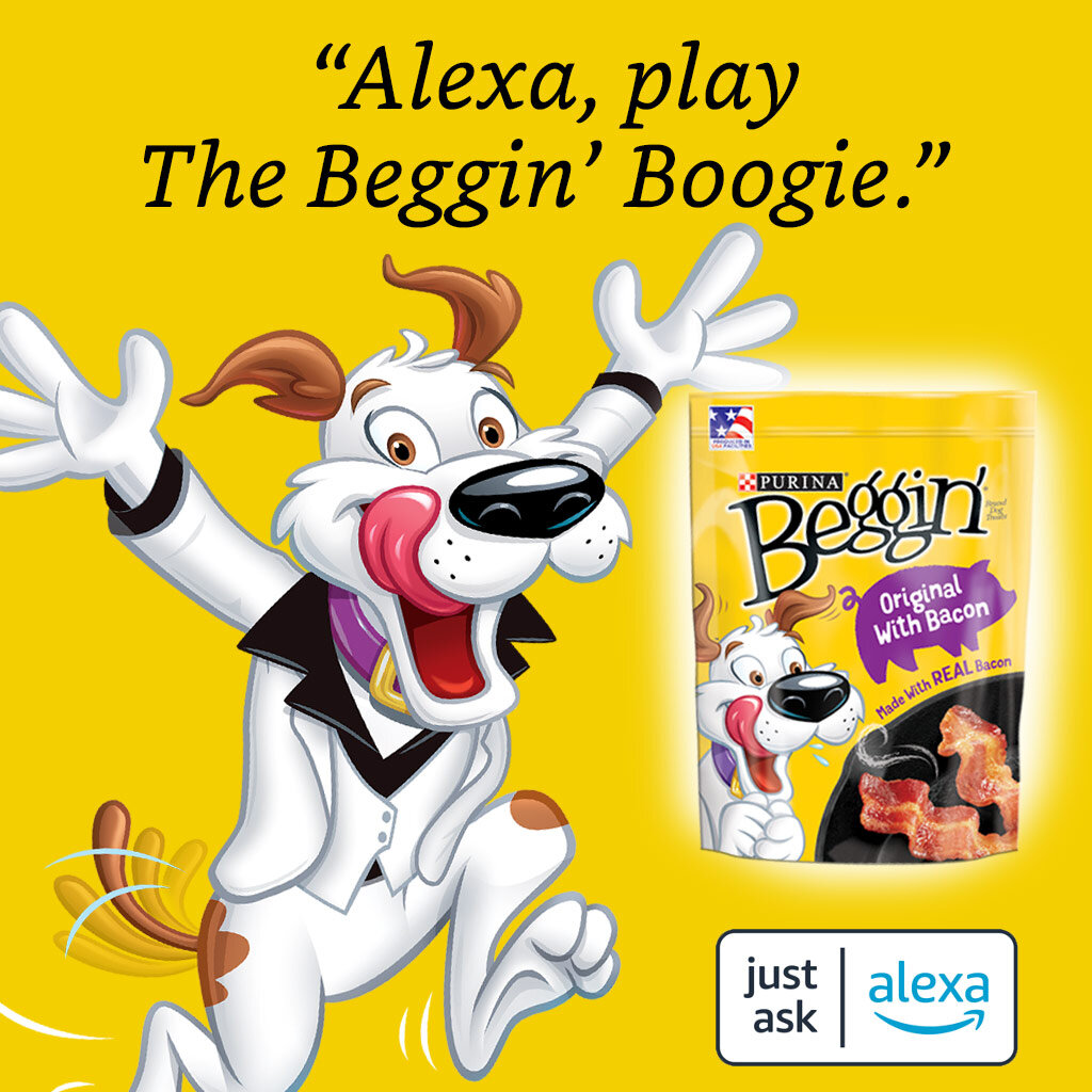 Beggin-Boogie-1024x1024_1.jpg